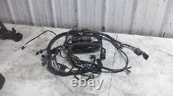 04 Harley Davidson Flstf Softail Cable Cable Harness Loom