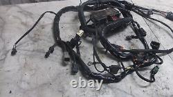 04 Harley Davidson Flstf Softail Cable Cable Harness Loom