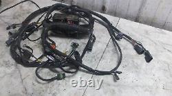 04 Harley Davidson Flstf Softail Cable Cable Harness Loom