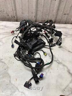 20 Harley Davidson Flsb Softail Sport Glide Cable Cable Harness Loom
