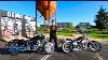2020 Harley Davidson Softail Standard The Generation Z Harley Of Choice Comparison U0026 Review