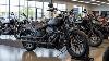 2025 Harley Davidson Softail Standard: The Iconic Cruiser For Today's Riders