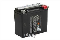 Harley-Davidson BATTERY 66000207A 17.5AH AGM SOFTAIL, DYNA Models, VRSC, Buell