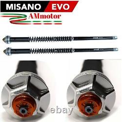 Harley Davidson Softail Fat Bob 2019 Misano Evo Fork Cartridge Group