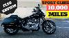 Harley Davidson Softail Flsb Sport Glide 10,000 Mile Review U0026 Thoughts