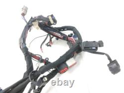 Harley Davidson Softail Slim FLS 1690 Electrical Harness 2012-2017 / New 39229