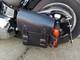 Hulk Orange Side Pocket Suitable For Harley Davidson Softail Fatboy