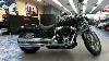 New 2023 Harley Davidson Softail Standard Motorcycle For Sale In Orlando Fl