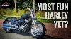 2021 Harley Davidson Softail Standard Review