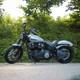 Diablo Silver Édition Sacoche Oscillant Convient Pour Harley Davidson Softail