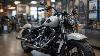 New 2025 Harley Davidson Softail Standard Classic Cruiser Reborn With Modern Power