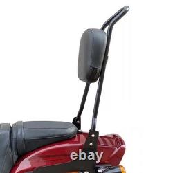 Schienalino Chopper Acier Noir Pour Harley Davidson Softail Slim Blackline