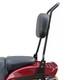 Schienalino Chopper Acier Noir Pour Harley Davidson Softail Slim Blackline