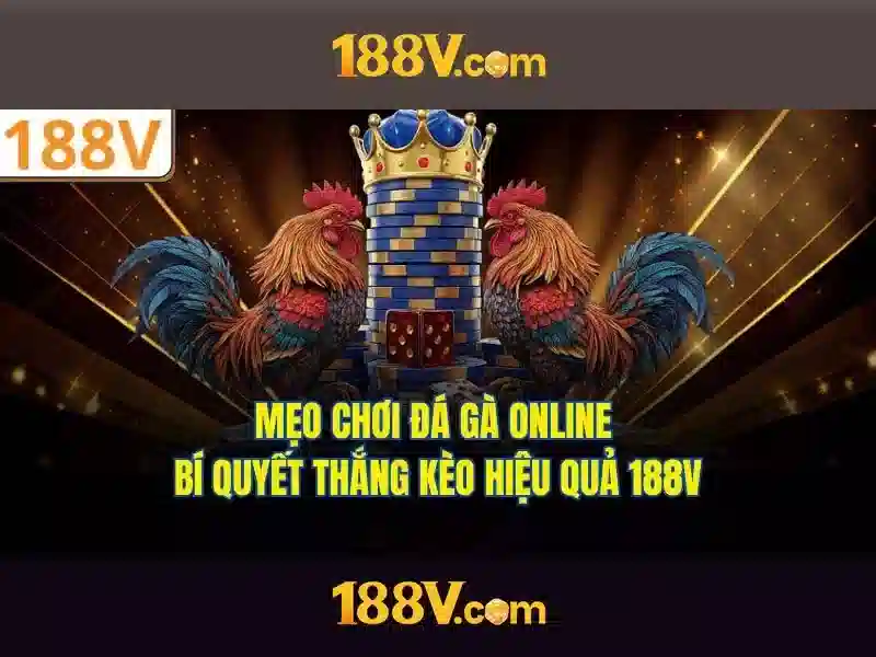 Bull Bull trực tuyến
