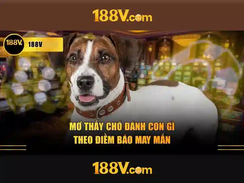 188v là gì?