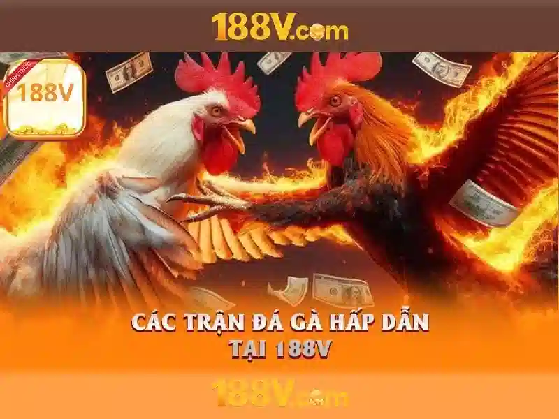 Thách thức và tương lai của 188v