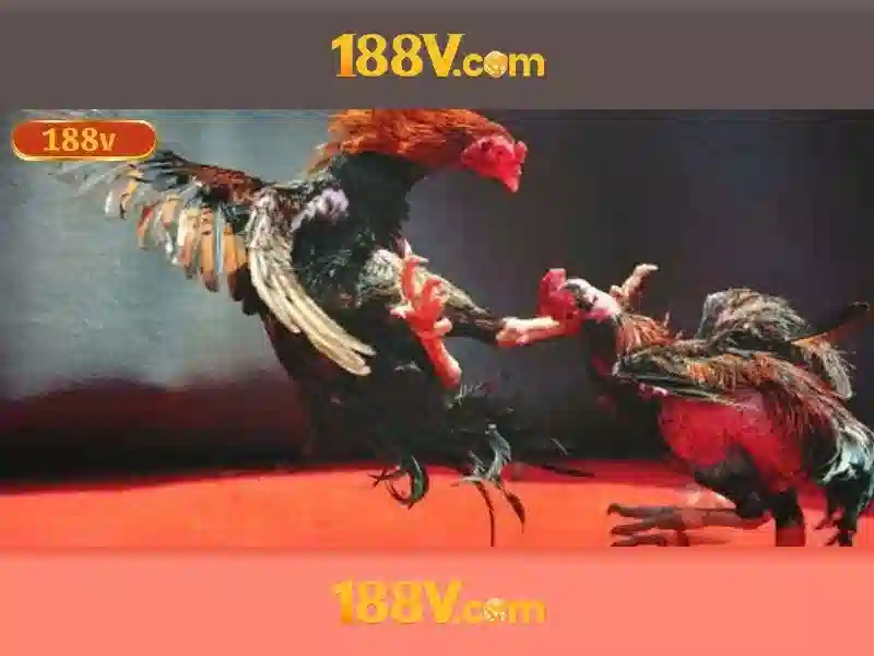 Nguồn gốc và sứ mệnh của 188v-com