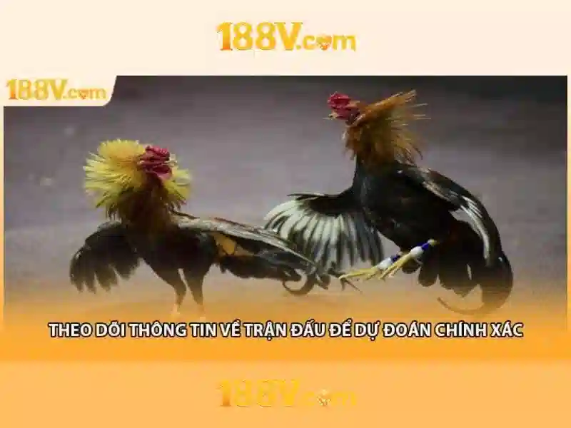 Tổng quan casino 188v