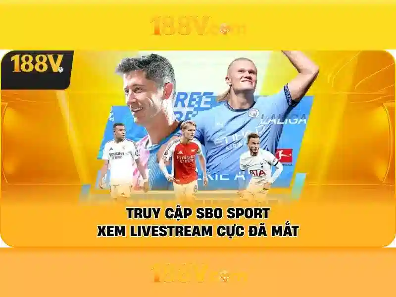 Trải nghiệm người dùng và phản hồi từ cộng đồng