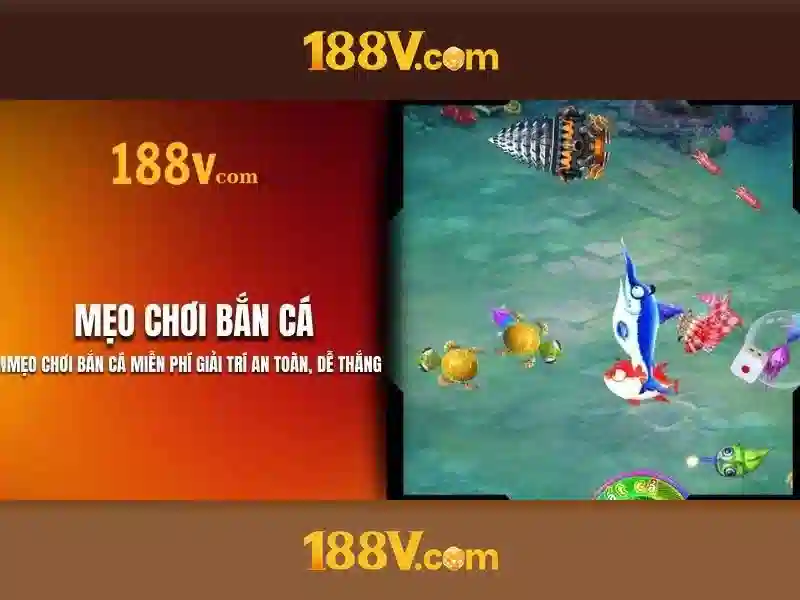 Bull Bull trực tuyến