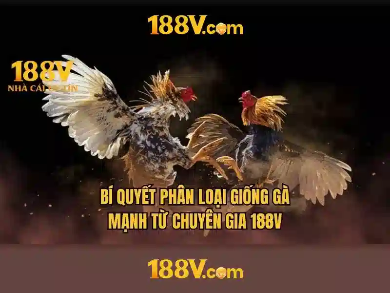Việt Vị Trong Bóng Đá
