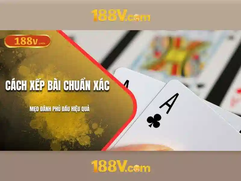 Cấu trúc và nguồn cảm hứng