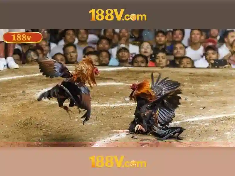 Việt Vị Trong Bóng Đá