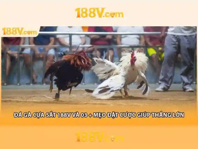 Nguồn gốc và ý nghĩa\n