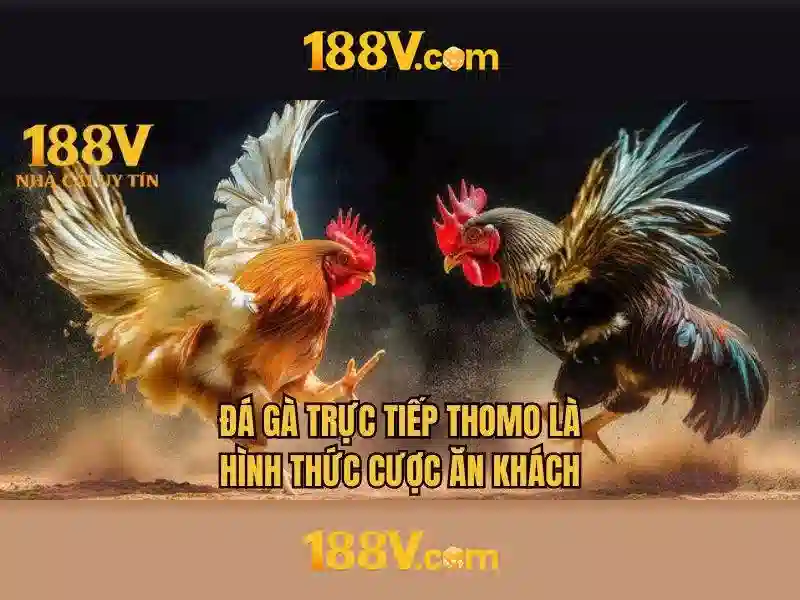 Khám phá cách 188v ảnh hưởng tới thiết kế và trải nghiệm người dùng\n