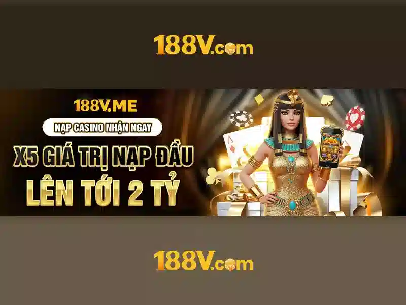 Trải nghiệm người dùng và phản hồi cộng đồng