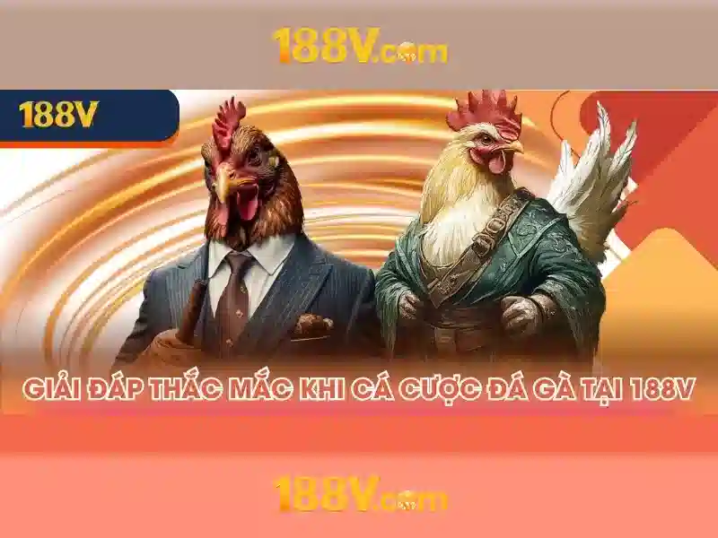 Bull Bull trực tuyến