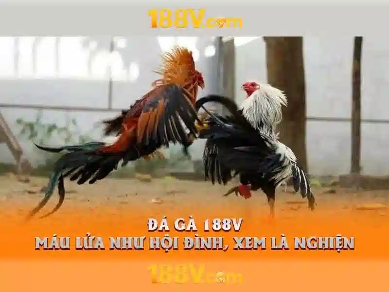 Ứng dụng thực tế và lưu ý bảo trì