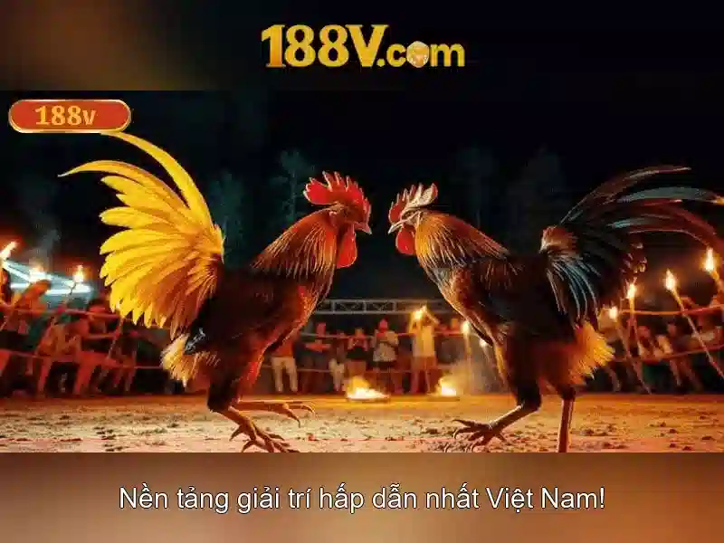 Bull Bull trực tuyến