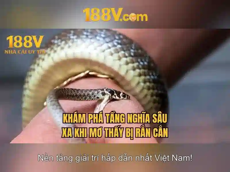 Khám phá 188v: một khái niệm công nghệ