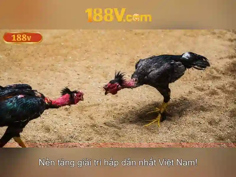 Việt Vị Trong Bóng Đá