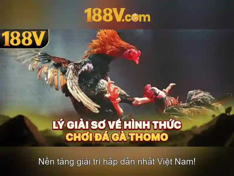 Việt Vị Trong Bóng Đá