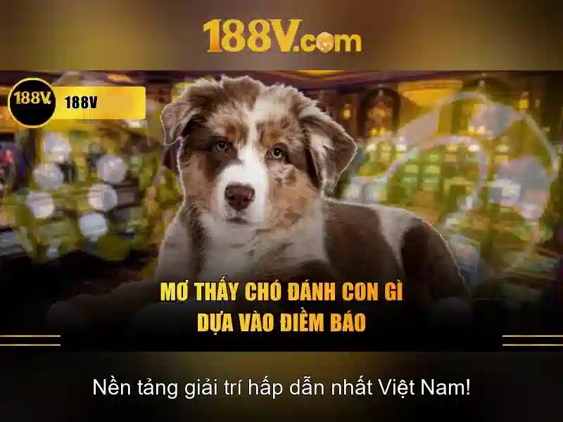 Bull Bull trực tuyến