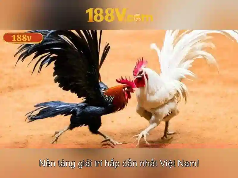 Khái niệm 188v