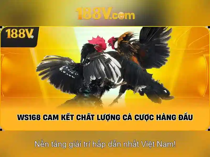 Việt Vị Trong Bóng Đá
