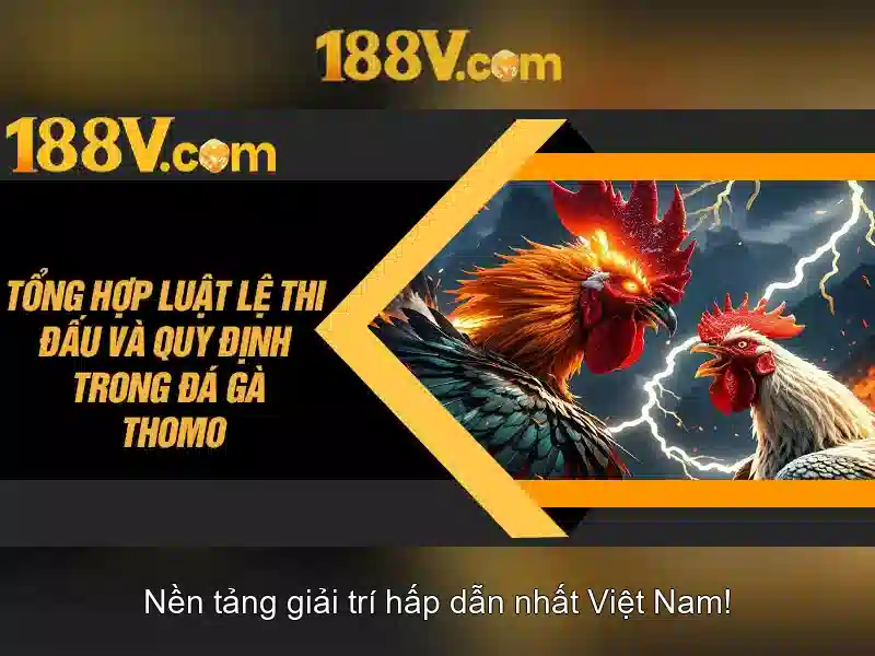 Một hành trình sáng tạo tại 188v