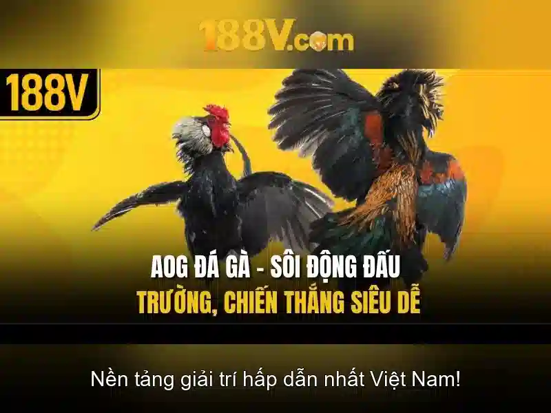 188v,com – Tổng quan chủ đề và giá trị cốt lõi