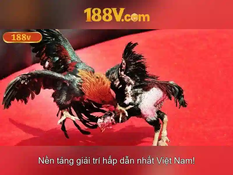 Việt Vị Trong Bóng Đá