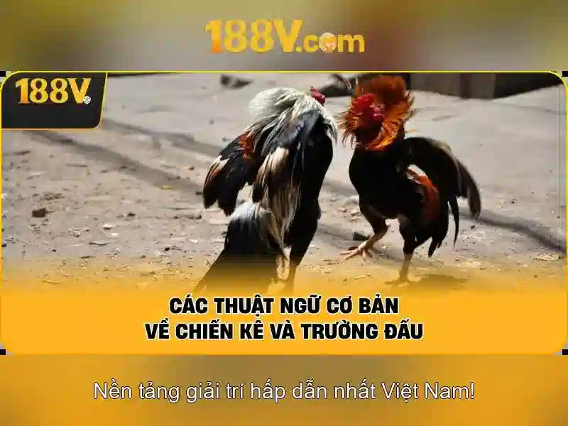 Việt Vị Trong Bóng Đá