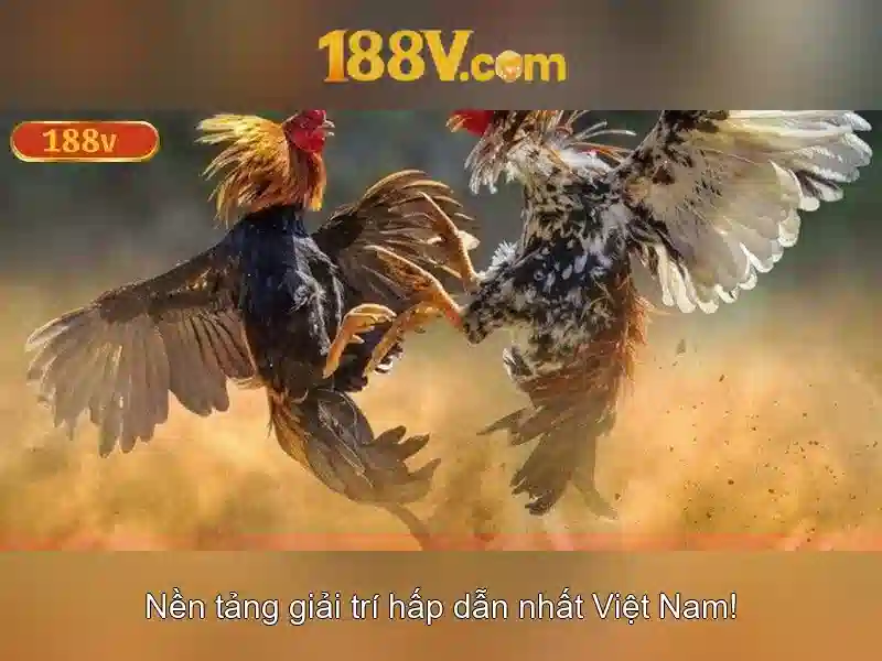 Ứng dụng và lợi ích của 188v\n