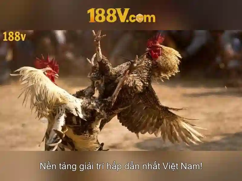 Bull Bull trực tuyến