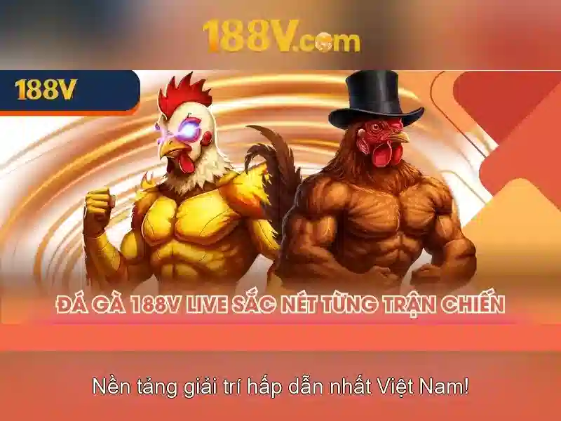 Bull Bull trực tuyến