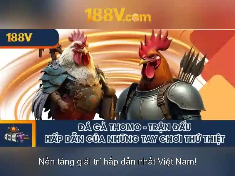 Khái niệm căn bản về 188v