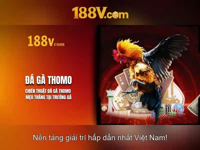 Ví dụ thực tế và thử nghiệm