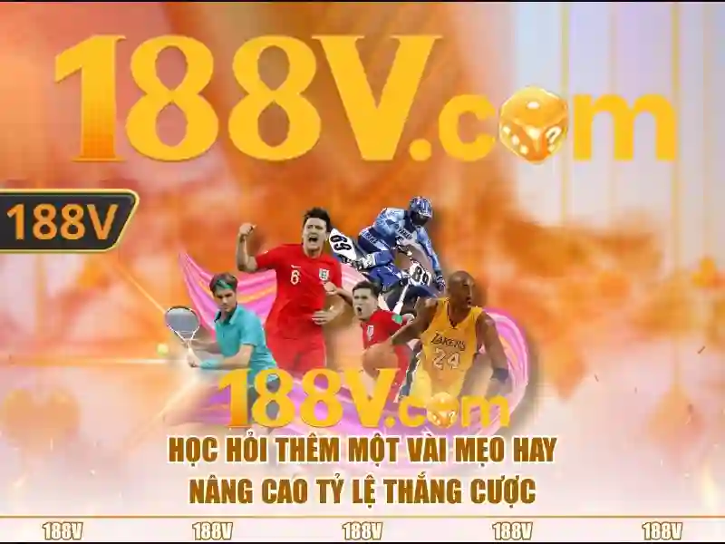Ứng dụng và tác động\n