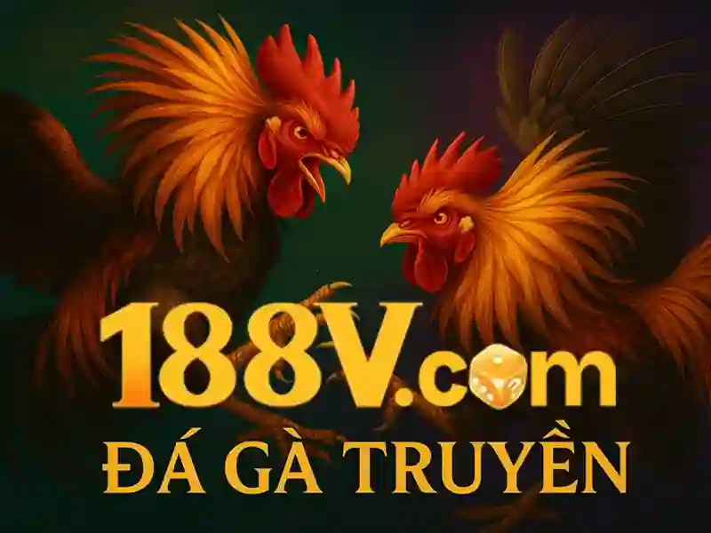 Tổng quan chủ đề và giá trị cốt lõi